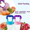 Baby Fruit Pacifier Fresh Fruit Feeder